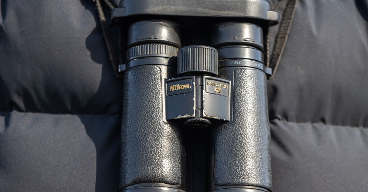 Close-up shot of black Nikon binoculars hanging on a dark jacket, perfect for nature enthusiasts.